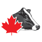 Holstein Canada