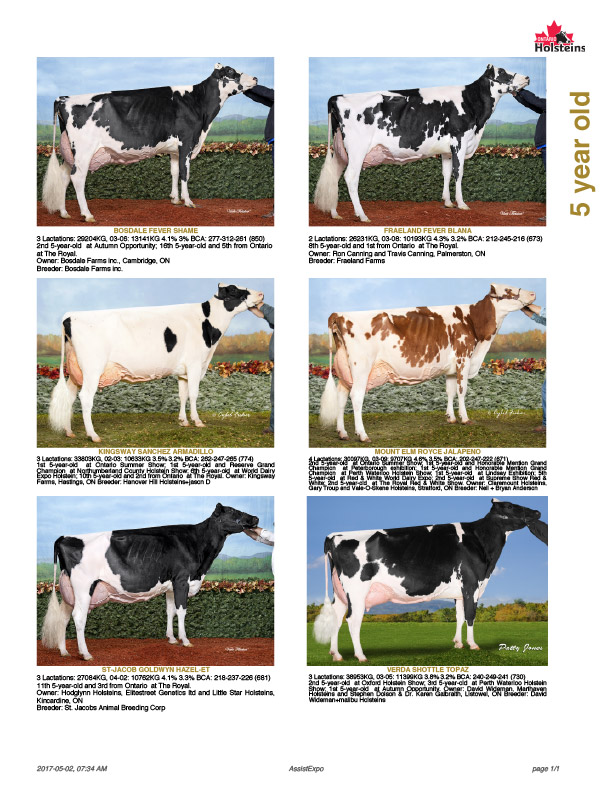 All-Ontario-Holstein-Competition-2016-5yr-Old-With-Production-Data